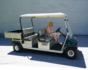 The Cart
