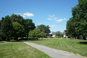 Walking View - Dana Lawn