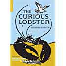 Curious Lobster
