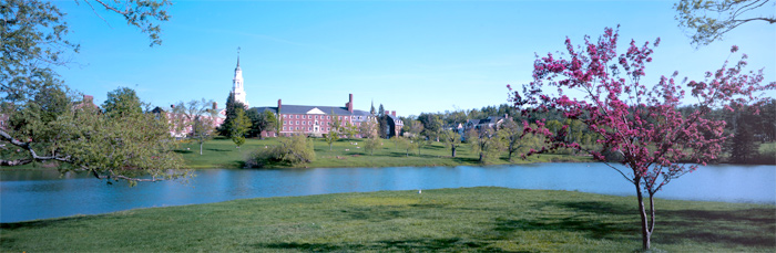 Image 01