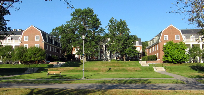 Image 01